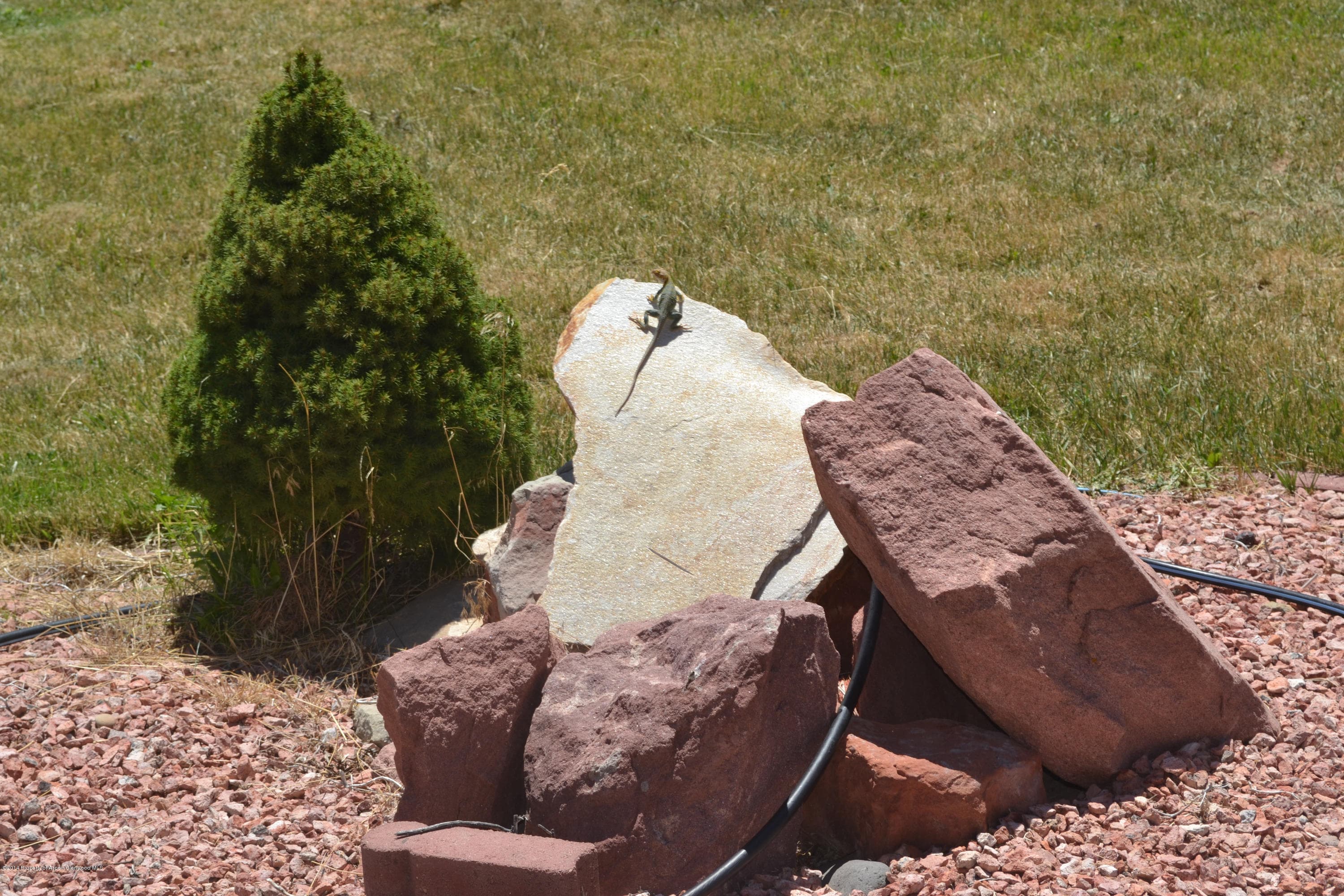 923 Mesa Drive, Rifle, CO 81650 - Photo 61