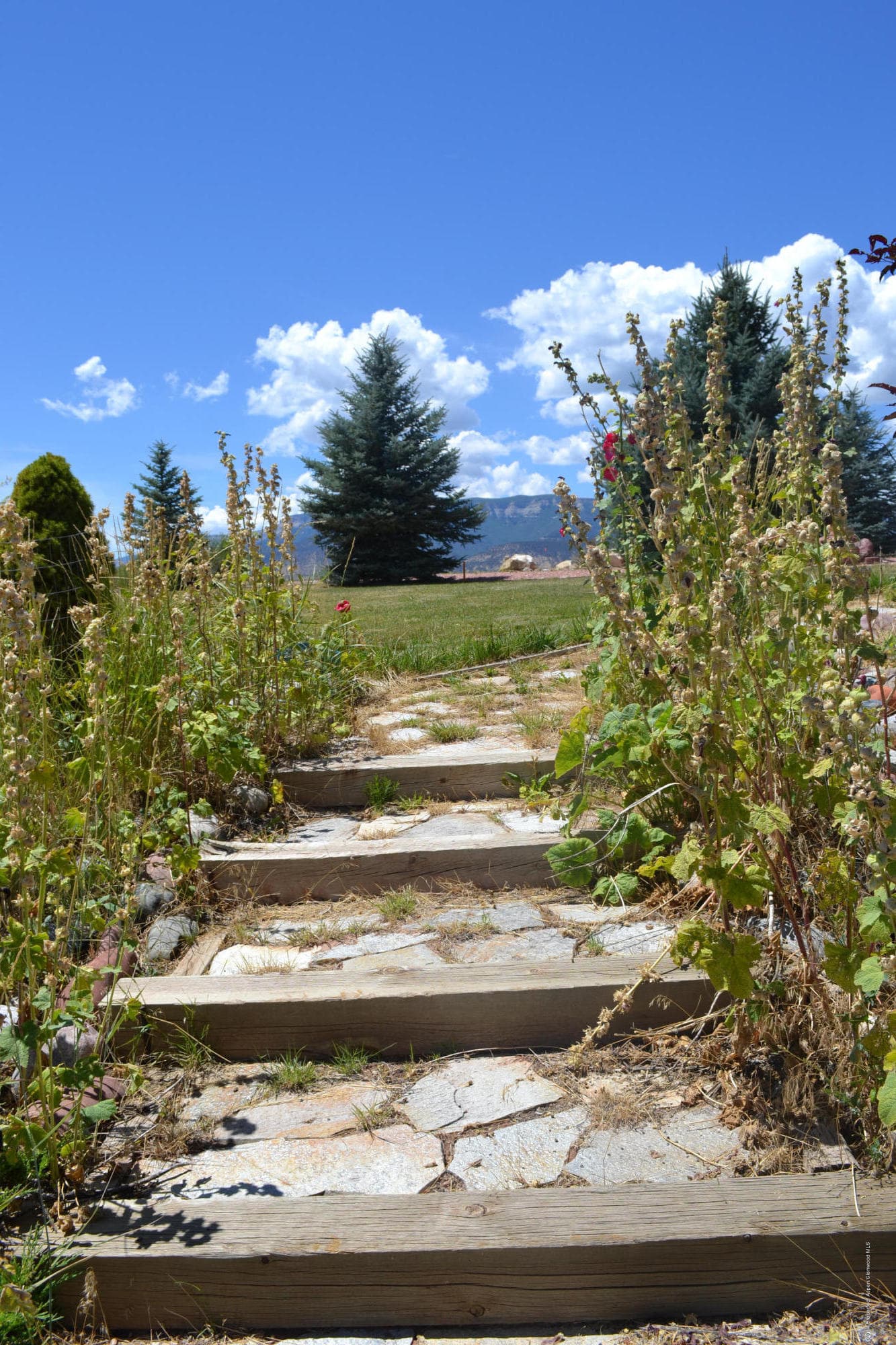 923 Mesa Drive, Rifle, CO 81650 - Photo 64