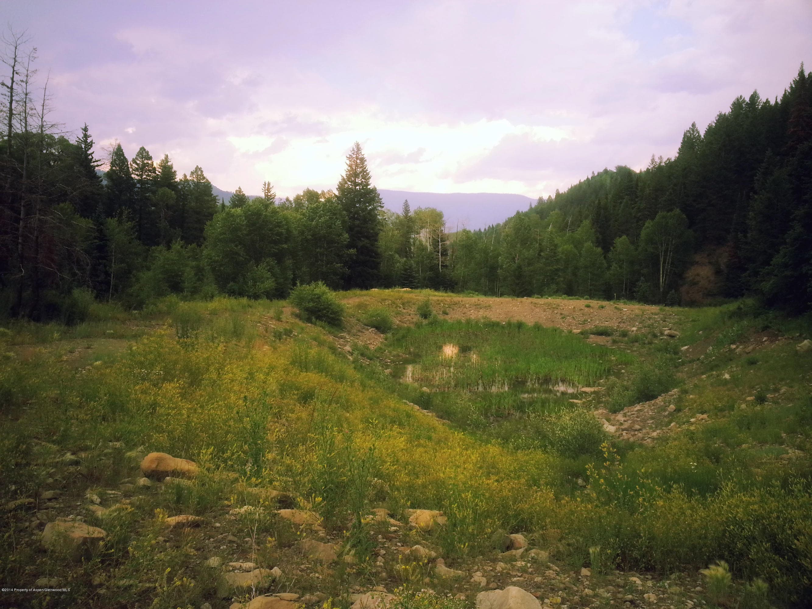 4180 Coal Creek Road, Carbondale, CO 81623 - Photo 8