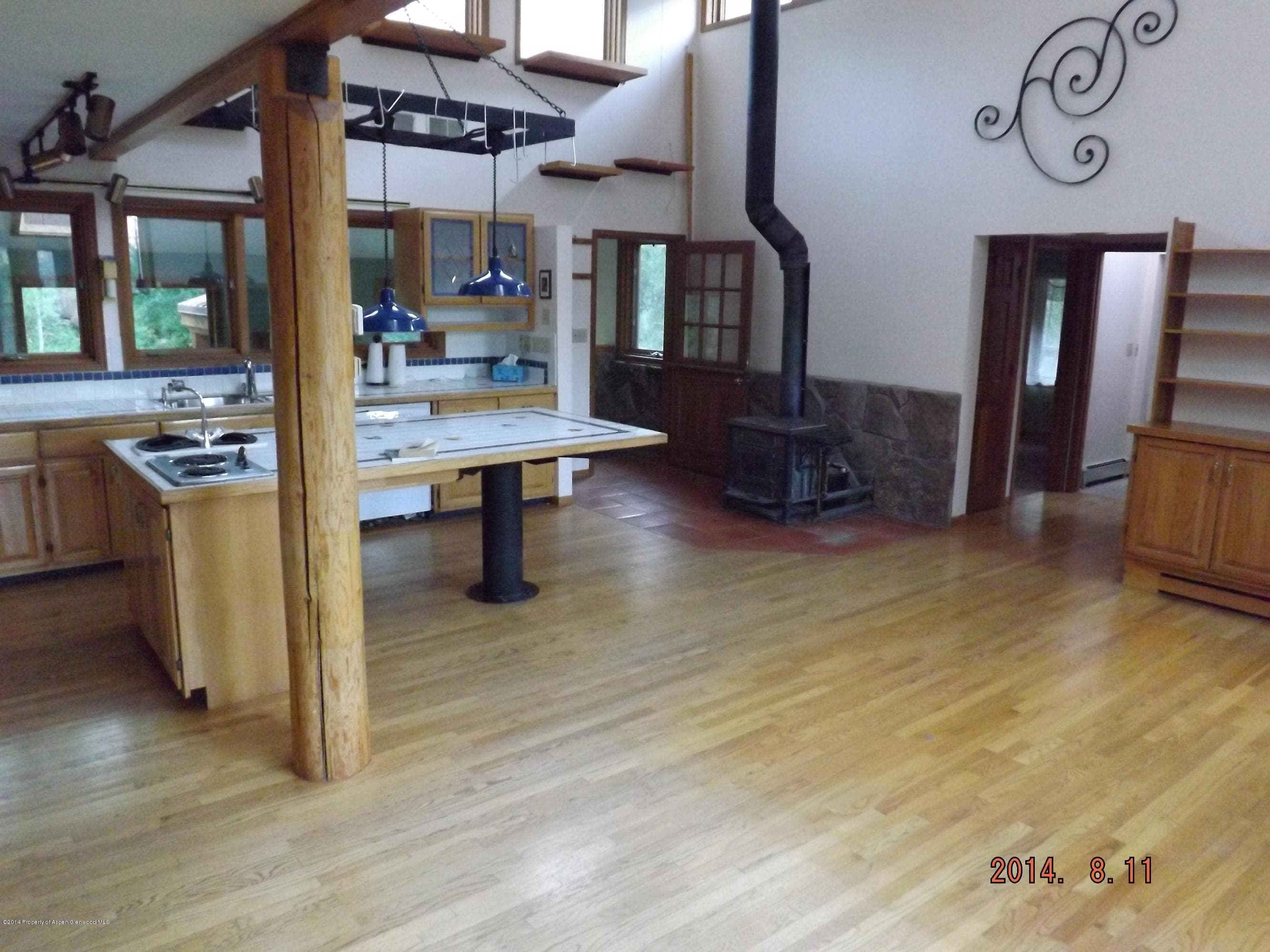 0531 Dorais Way, Redstone, CO 81623 - Photo 6