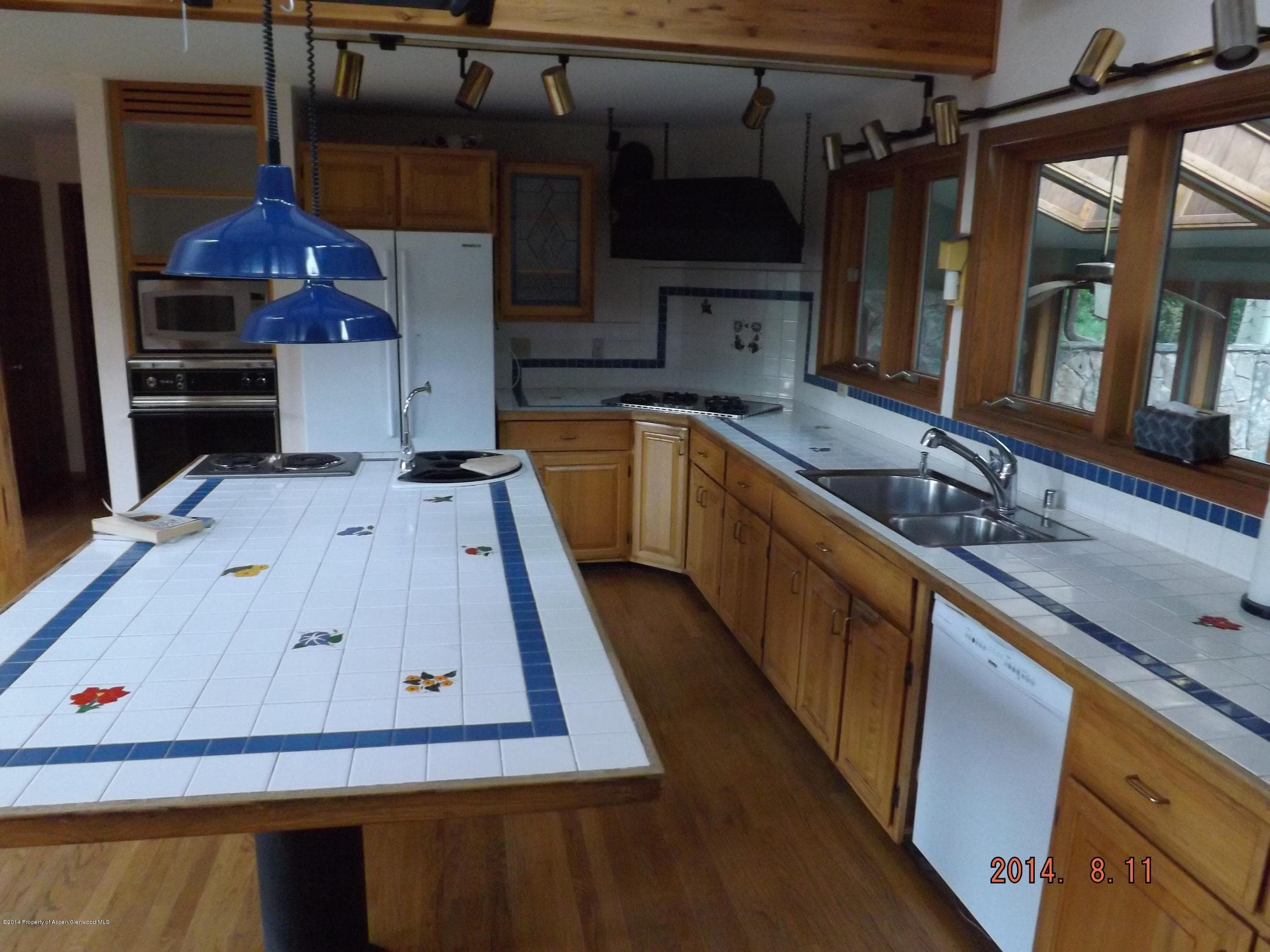 0531 Dorais Way, Redstone, CO 81623 - Photo 9