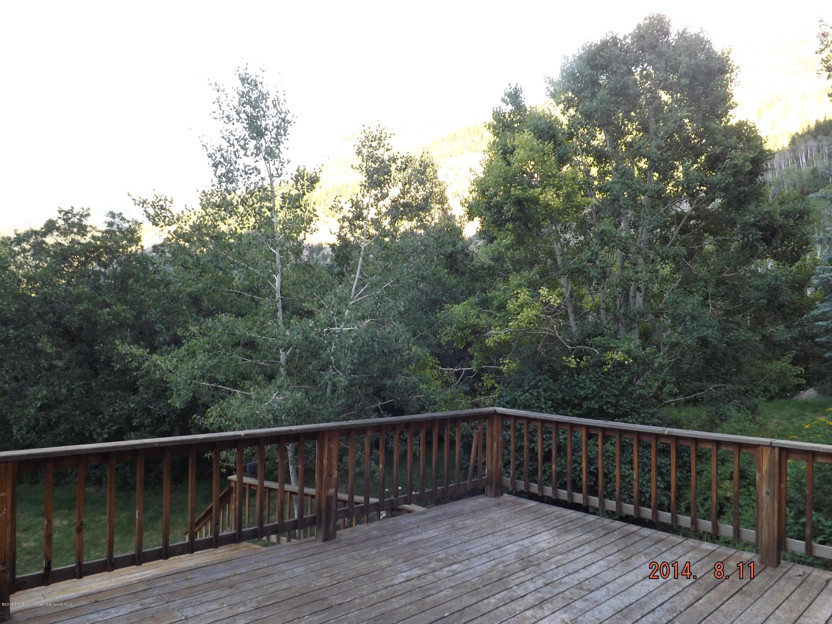 0531 Dorais Way, Redstone, CO 81623 - Photo 36