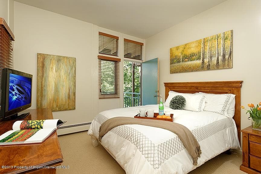 800 S Mill Street 204, Aspen, CO 81611 - Photo 2
