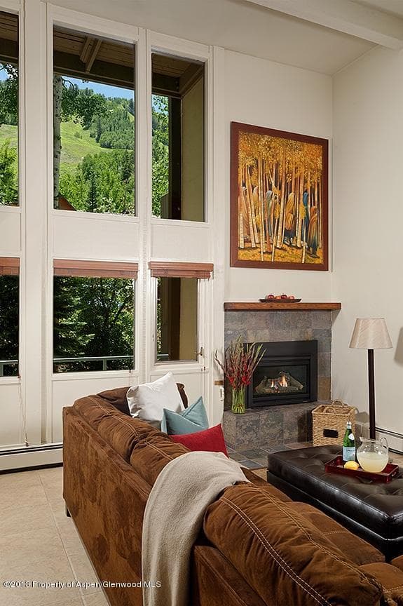800 S Mill Street 204, Aspen, CO 81611 - Photo 5