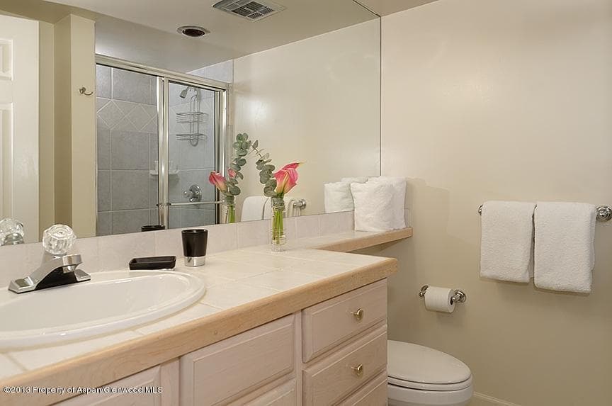 800 S Mill Street 204, Aspen, CO 81611 - Photo 8