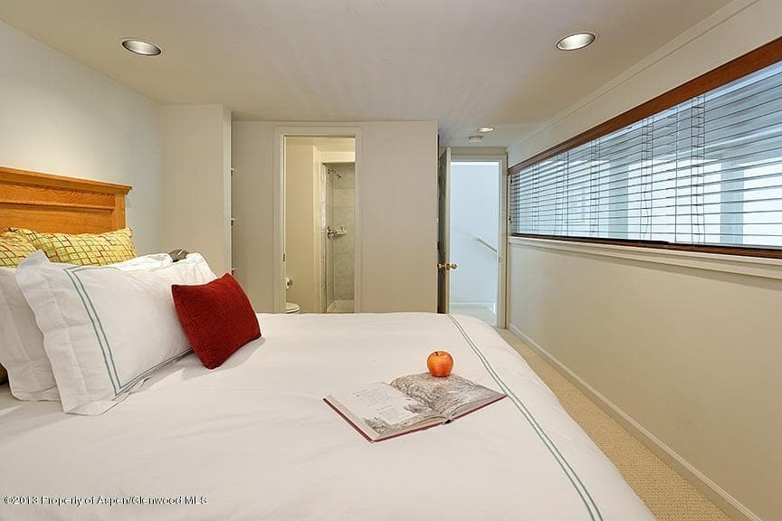 800 S Mill Street 204, Aspen, CO 81611 - Photo 9