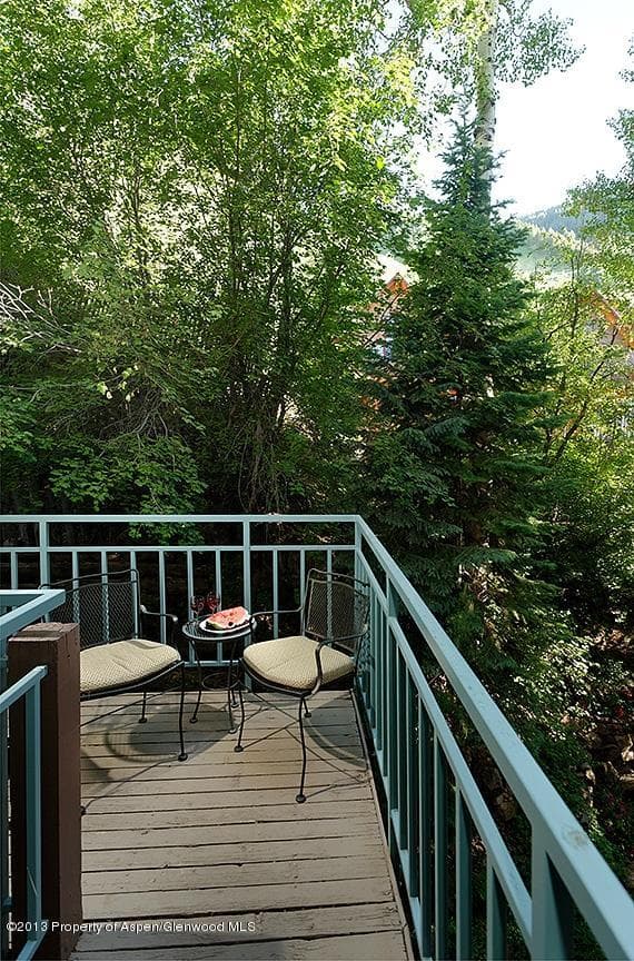 800 S Mill Street 204, Aspen, CO 81611 - Photo 11