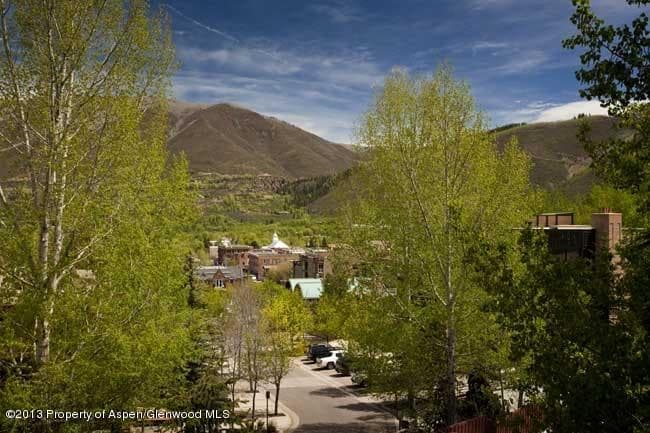 800 S Mill Street 204, Aspen, CO 81611 - Photo 13