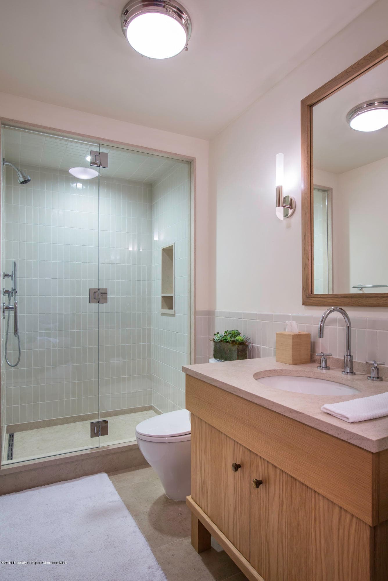864 Moore Drive, Aspen, CO 81611 - Photo 19