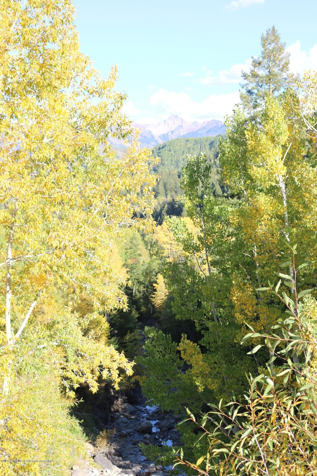 4180 Coal Creek Road, Carbondale, CO 81623 - Photo 33