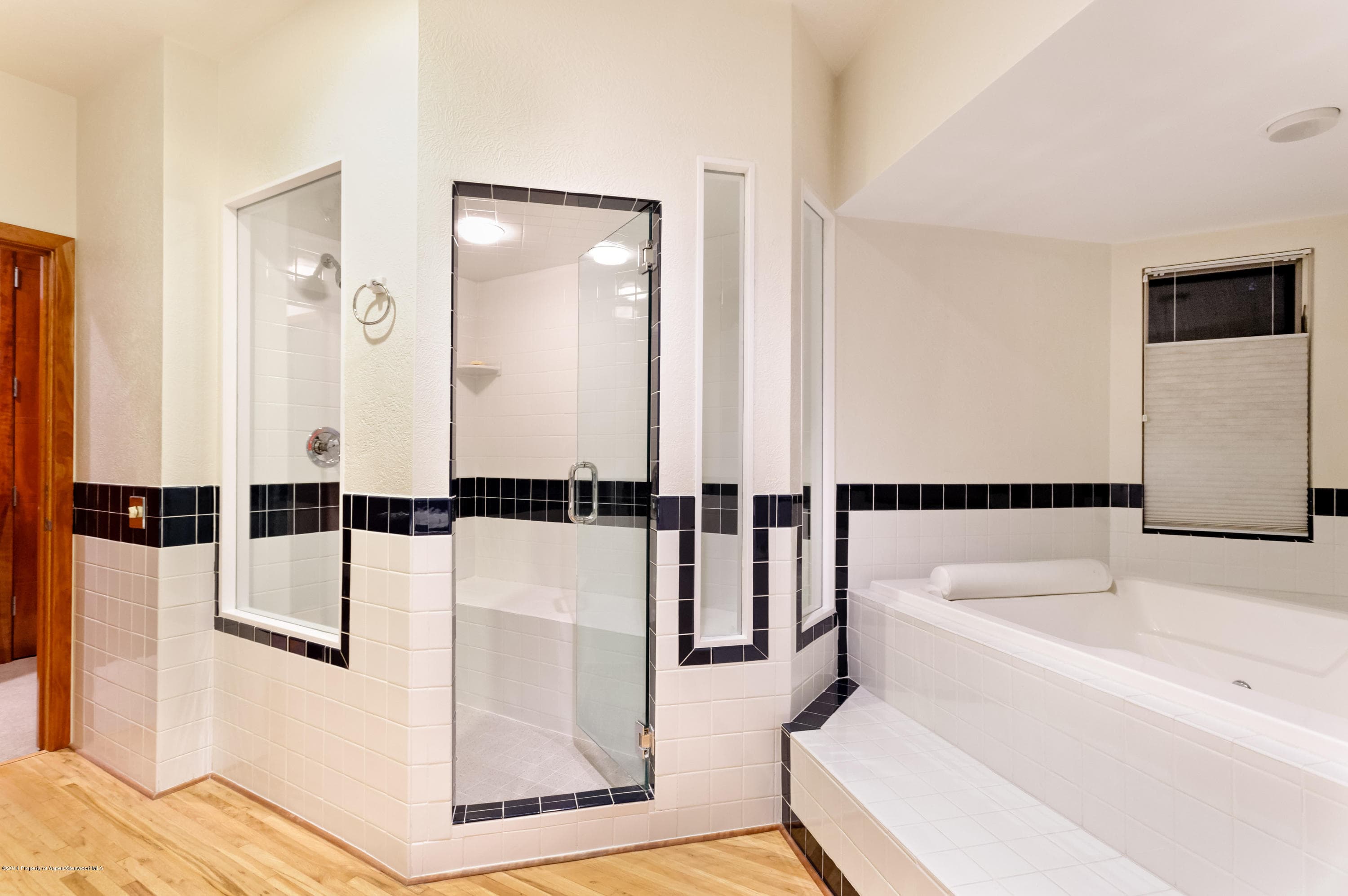 150 N 8th Street, Aspen, CO 81611 - Photo 25