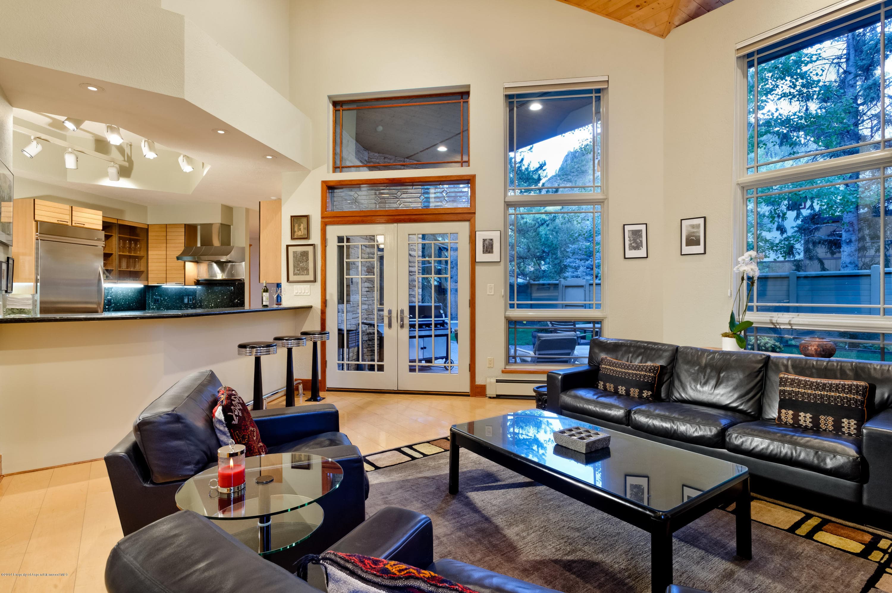 150 N 8th Street, Aspen, CO 81611 - Photo 15
