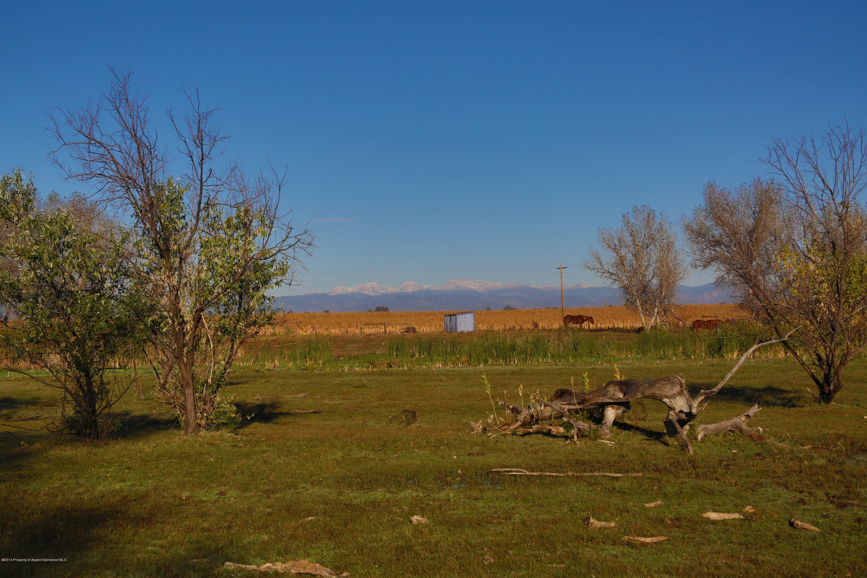 12535 County Road 23, Fort Lupton, CO 80621 - Photo 3