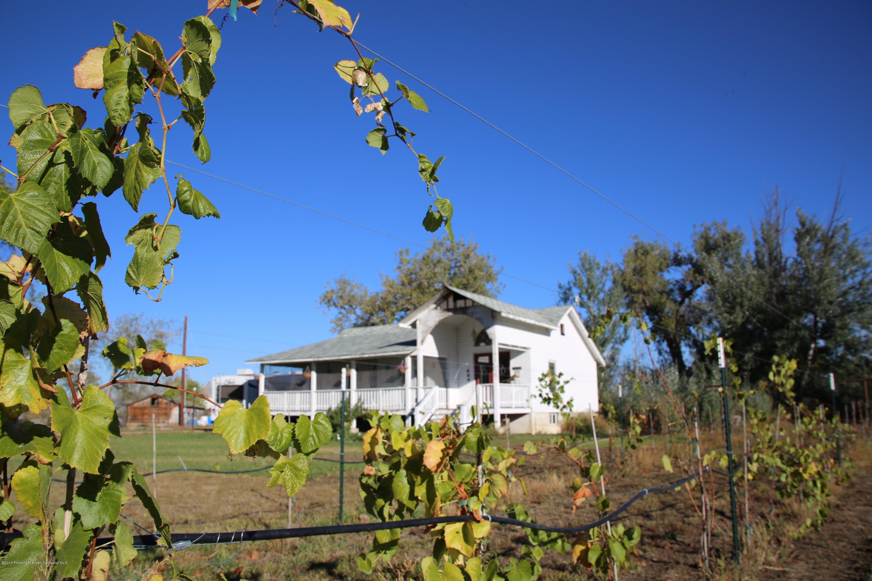 12535 County Road 23, Fort Lupton, CO 80621 - Photo 9