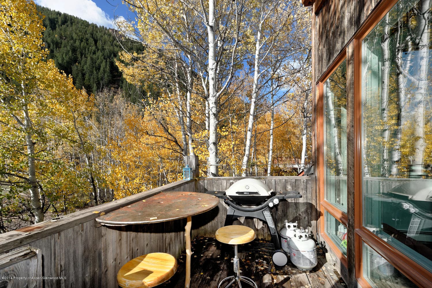 1280 Ute Avenue #25, Aspen, CO 81611 - Photo 2