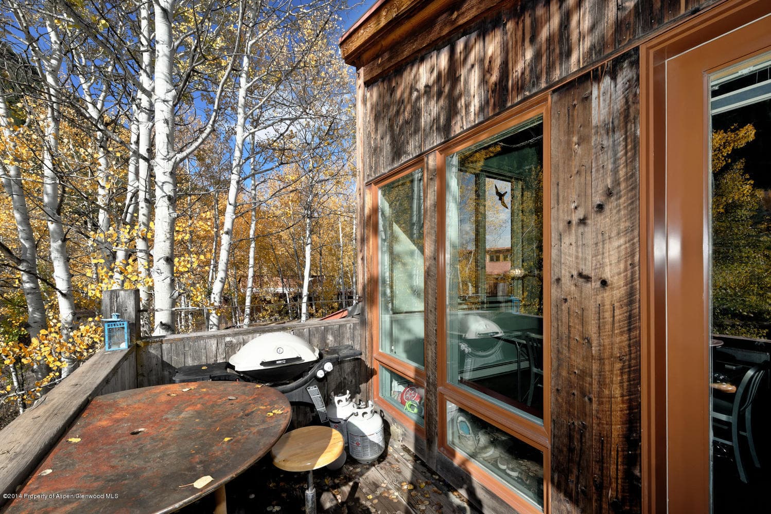 1280 Ute Avenue #25, Aspen, CO 81611 - Photo 3