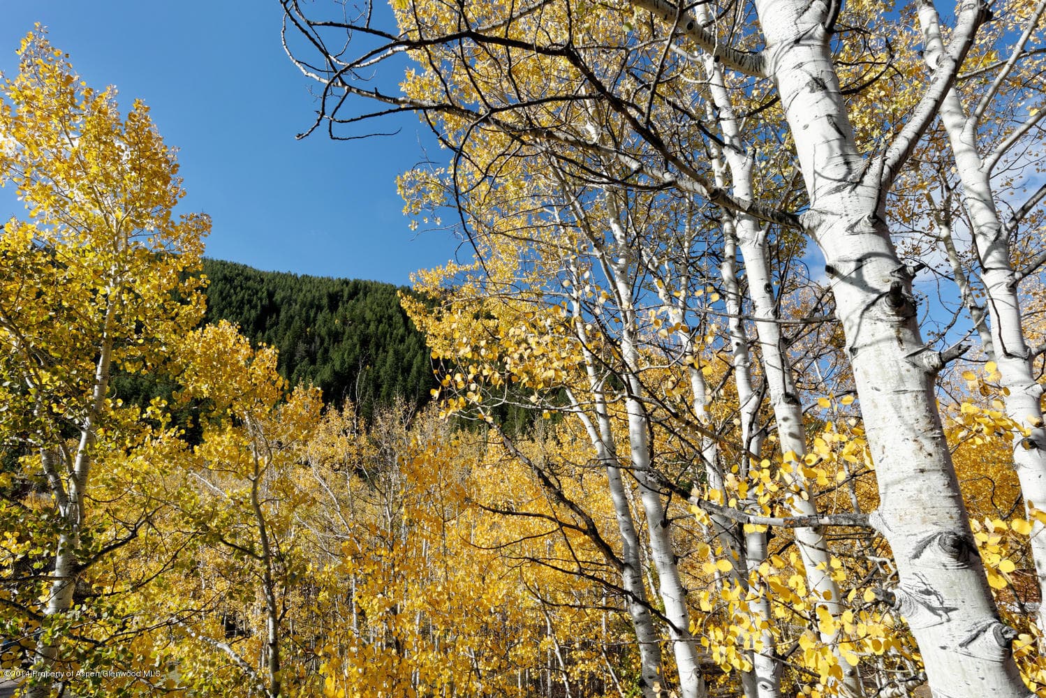 1280 Ute Avenue #25, Aspen, CO 81611 - Photo 4