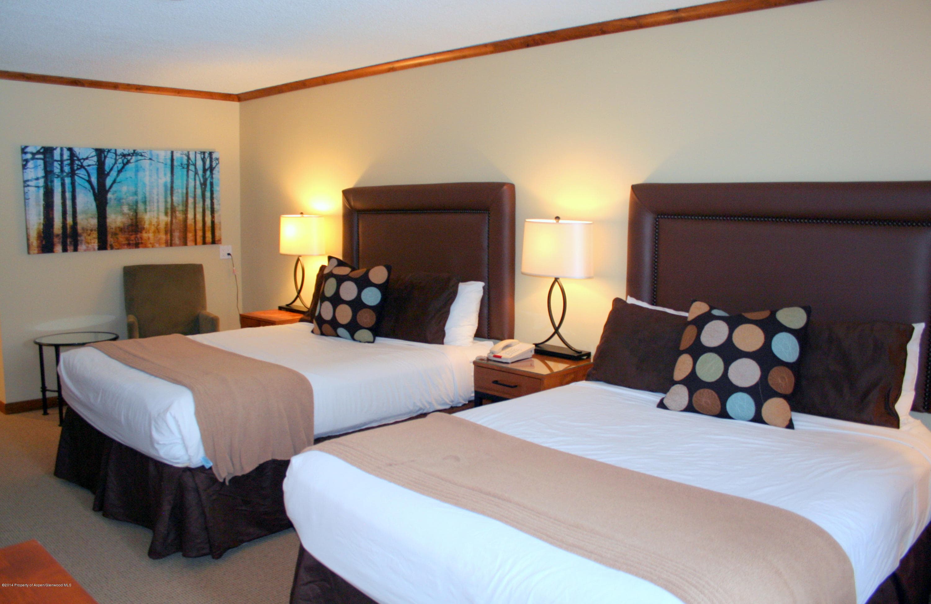 38750 Hwy 82 #1152, Aspen, CO 81611 - Photo 10