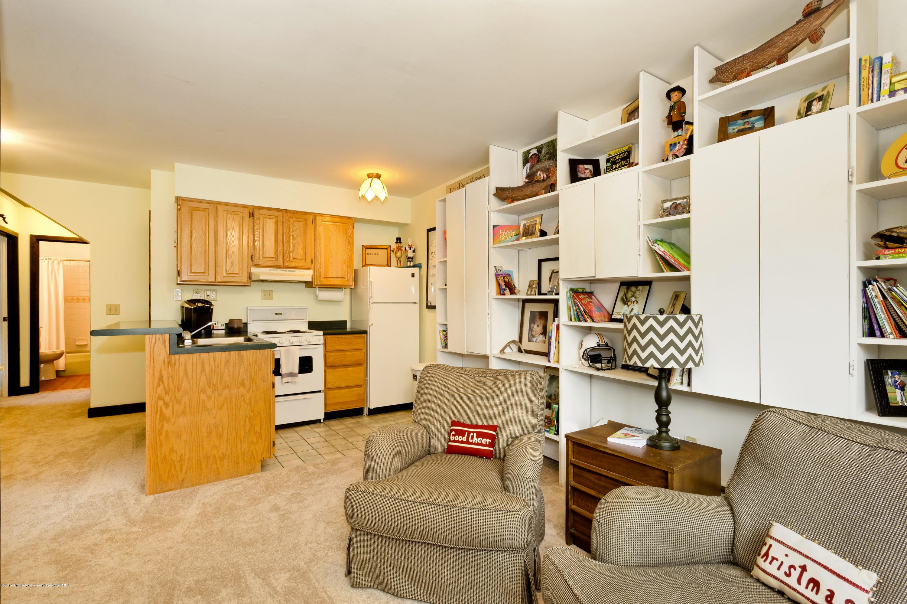 945 Cemetery Lane, Aspen, CO 81611 - Photo 14