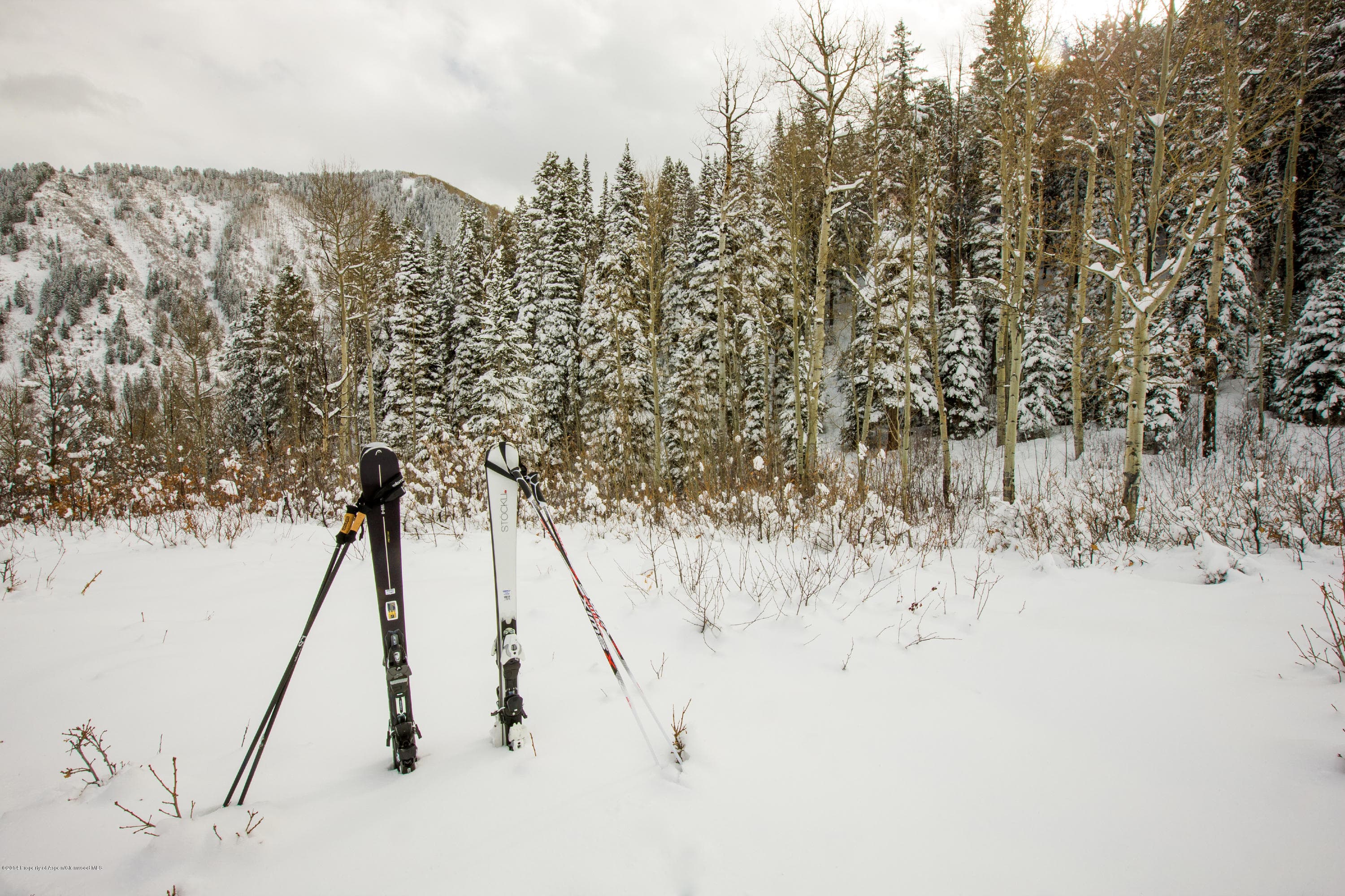 993 Moore Drive, Aspen, CO 81611 - Photo 8
