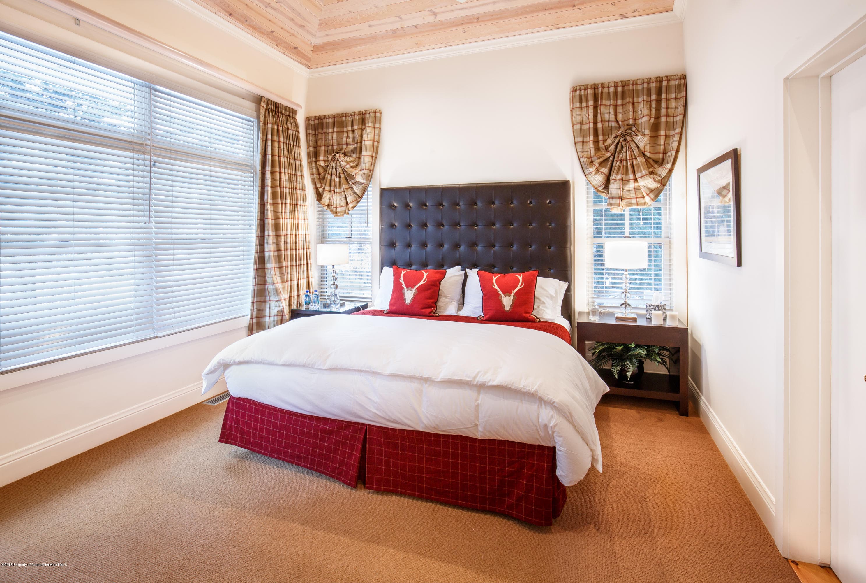 907 Waters Avenue, Aspen, CO 81611 - Photo 12