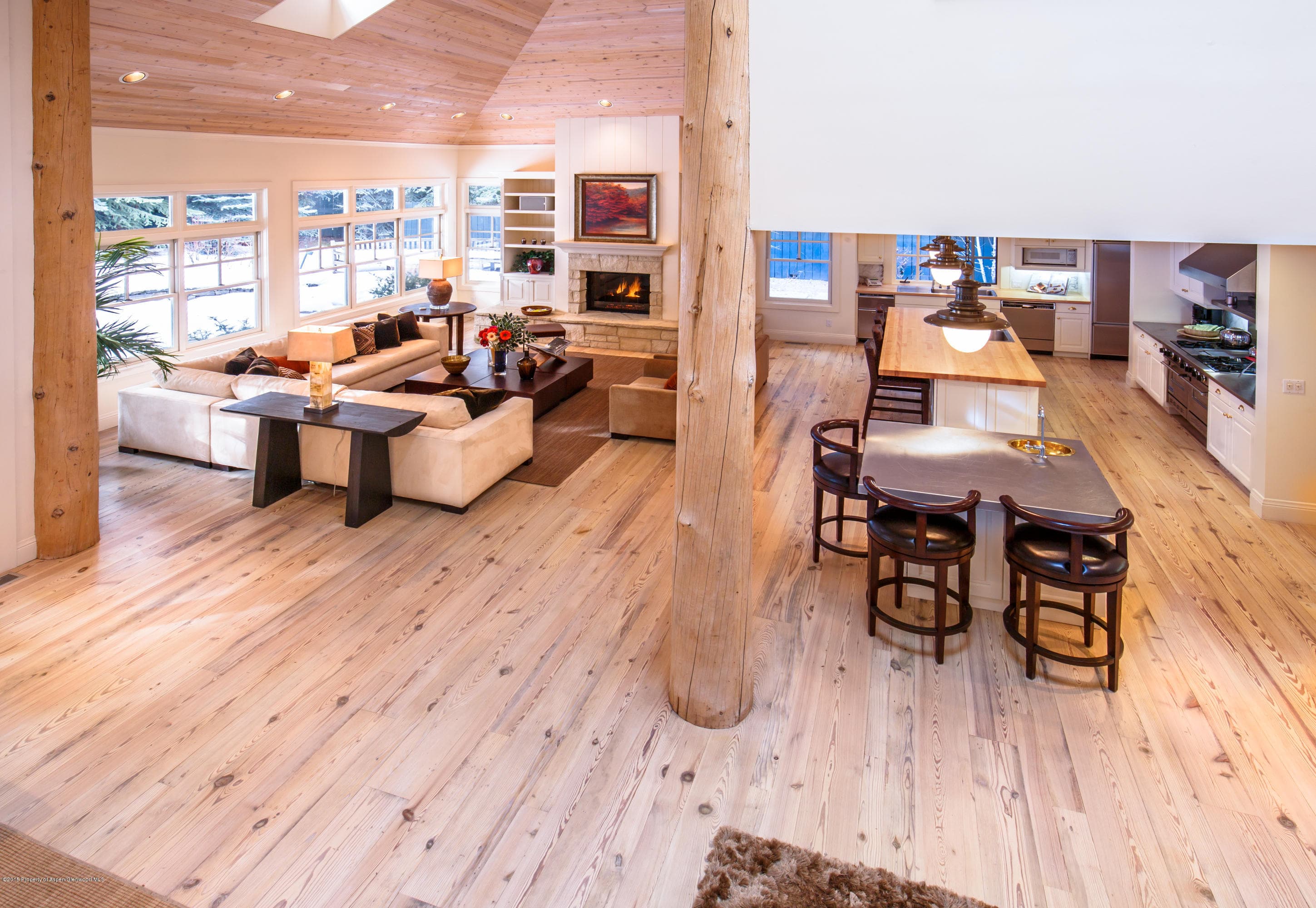 907 Waters Avenue, Aspen, CO 81611 - Photo 7