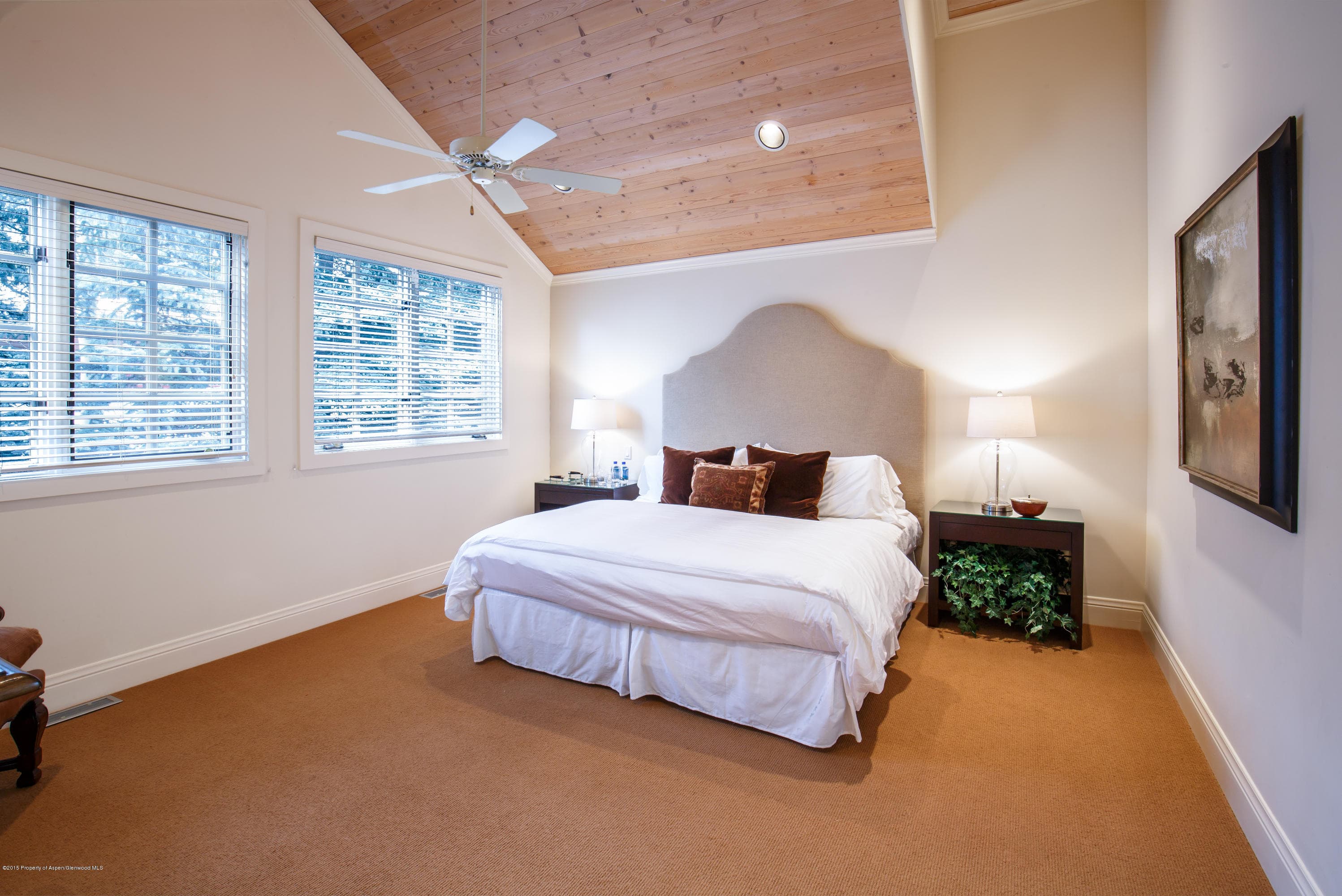 907 Waters Avenue, Aspen, CO 81611 - Photo 14