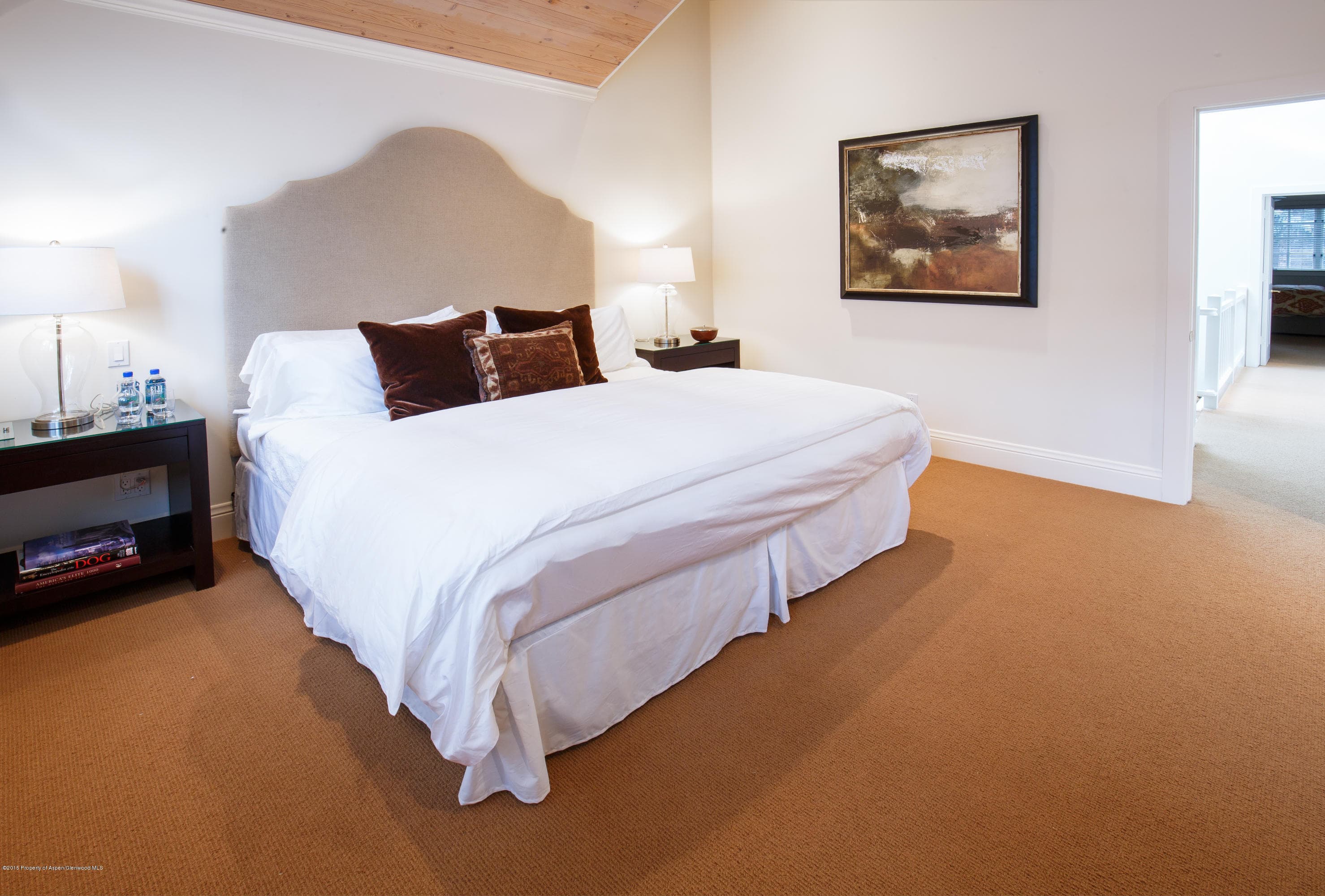 907 Waters Avenue, Aspen, CO 81611 - Photo 15
