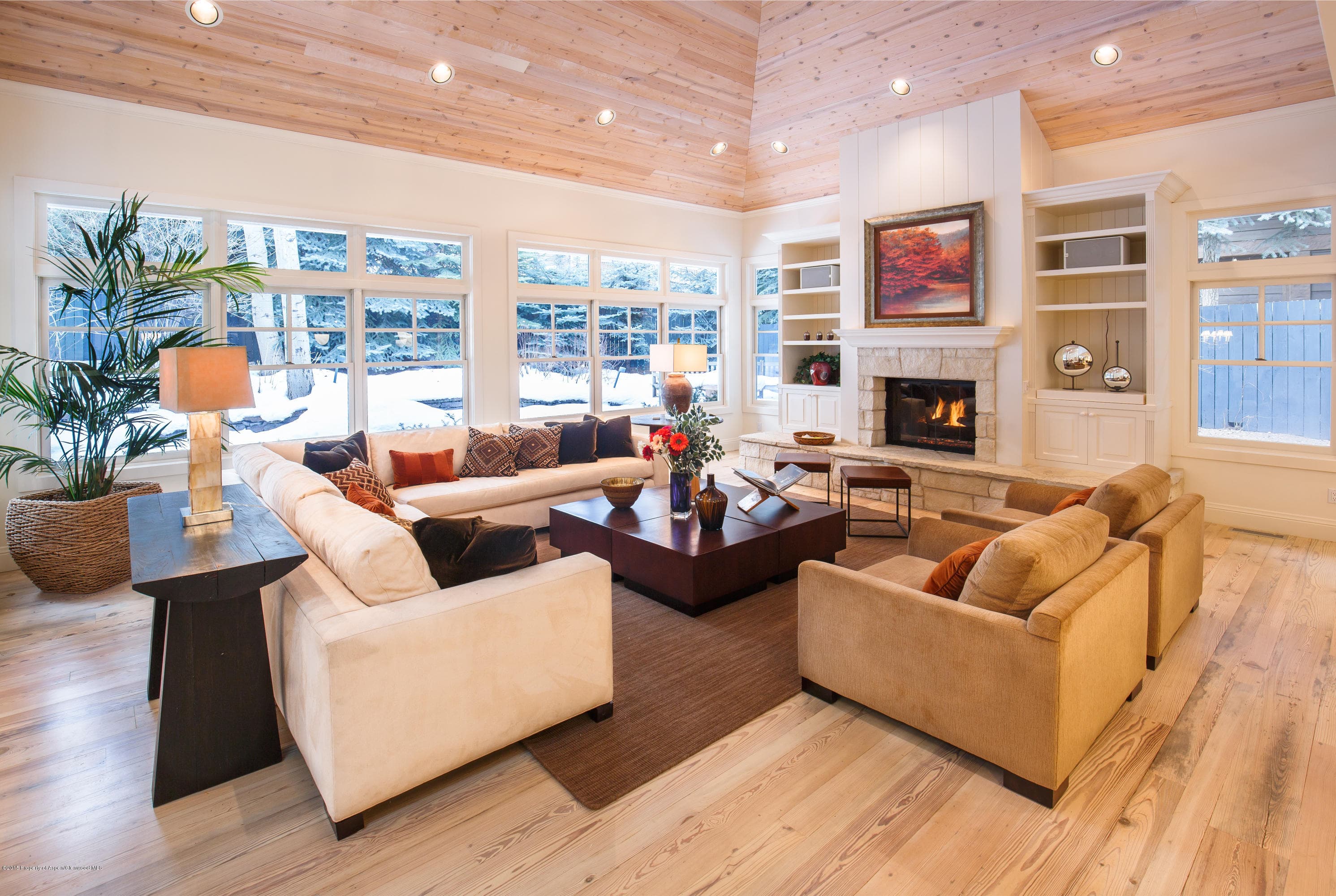 907 Waters Avenue, Aspen, CO 81611 - Photo 5