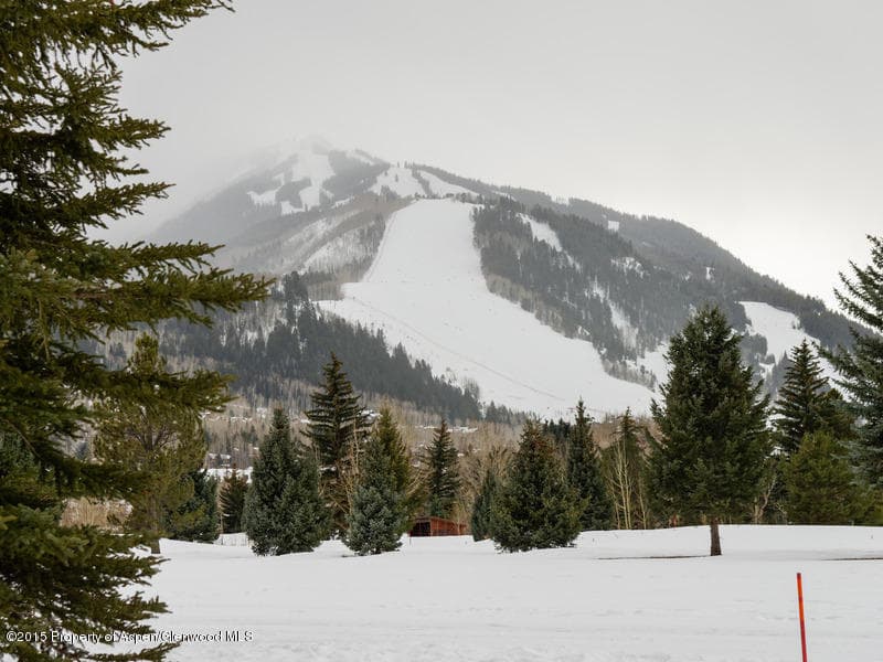 729 Cemetery Lane Unit: 731, Aspen, CO 81611 - Photo 13