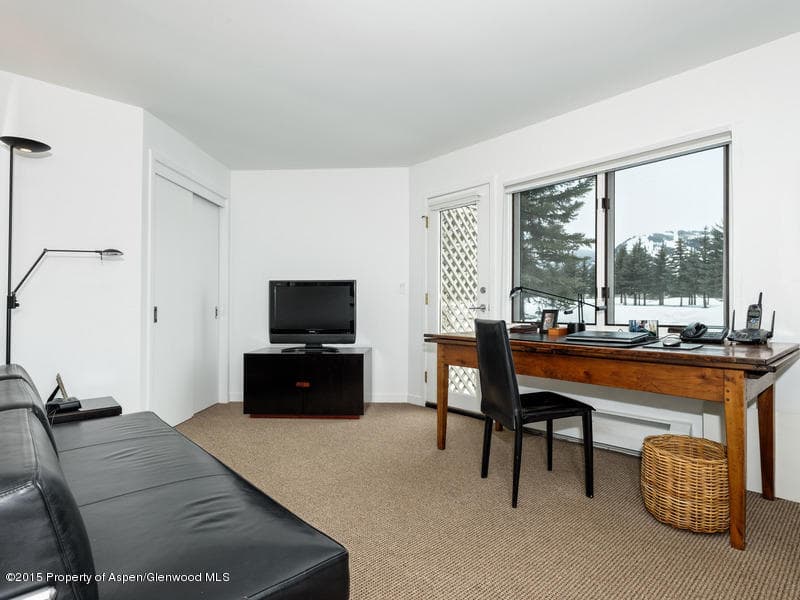 729 Cemetery Lane Unit: 731, Aspen, CO 81611 - Photo 11