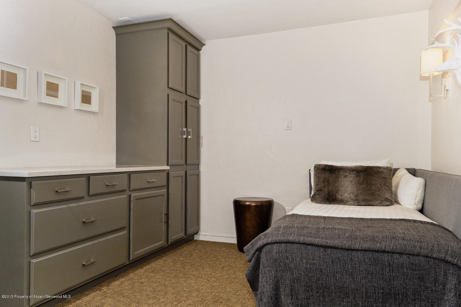 555 E Durant Avenue 4d, Aspen, CO 81611 - Photo 11