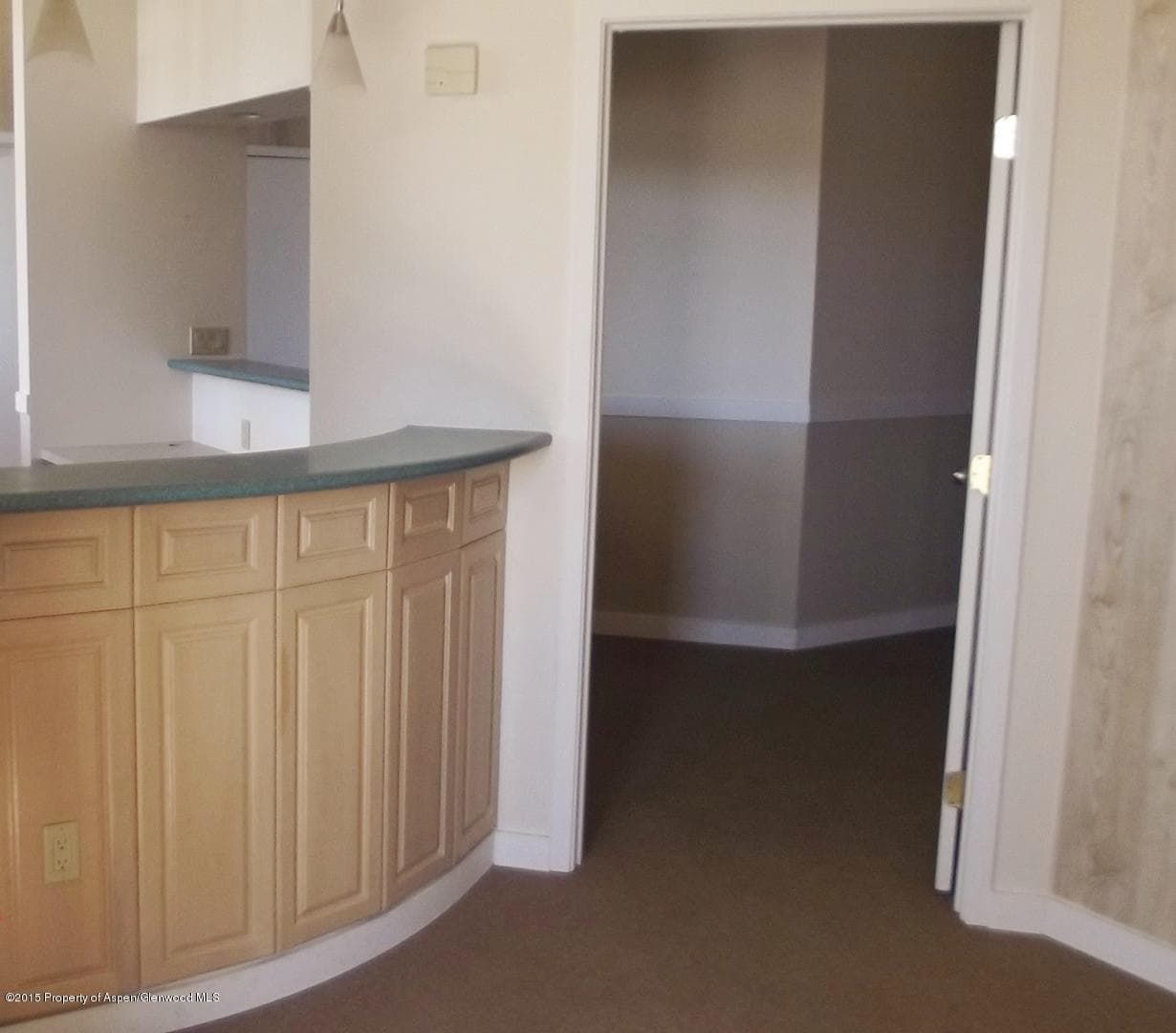 592 Highway 133, Carbondale, CO 81623 - Photo 14