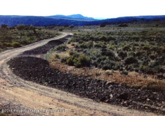 14843 59 1/2 Road, Collbran, CO 81624 - Photo 2