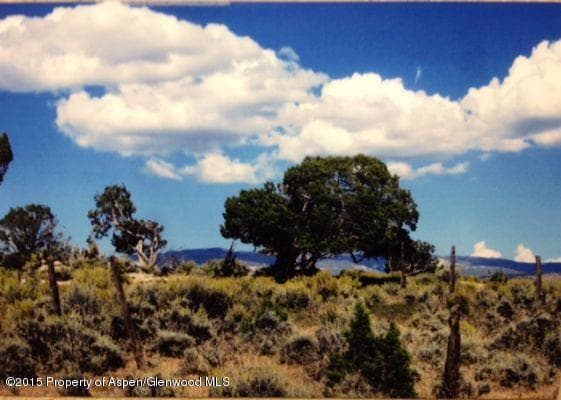 14843 59 1/2 Road, Collbran, CO 81624 - Photo 4
