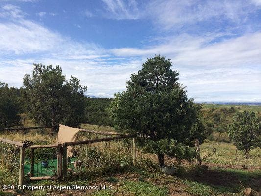 14843 59 1/2 Road, Collbran, CO 81624 - Photo 9