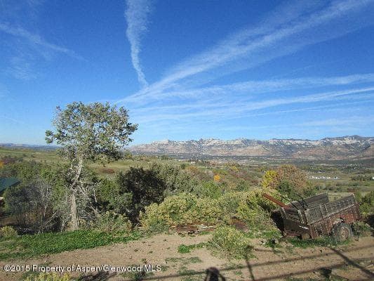14843 59 1/2 Road, Collbran, CO 81624 - Photo 12