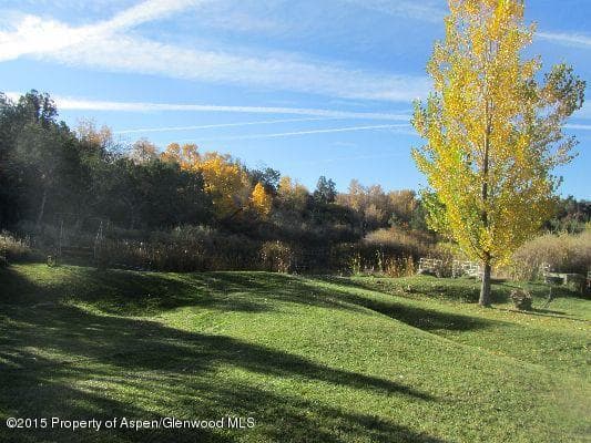 14843 59 1/2 Road, Collbran, CO 81624 - Photo 13