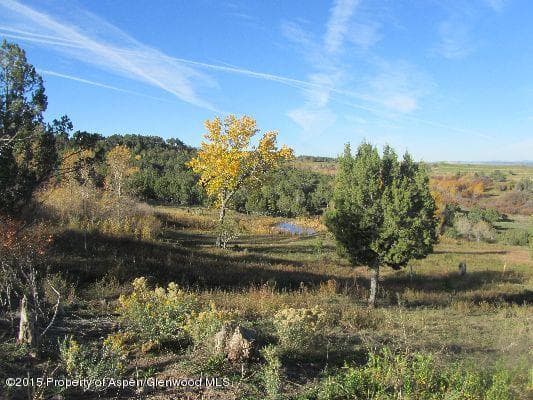 14843 59 1/2 Road, Collbran, CO 81624 - Photo 15