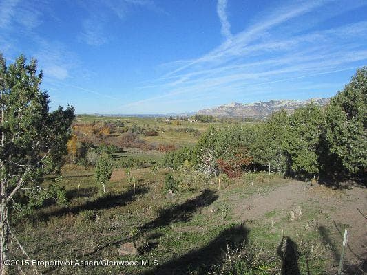 14843 59 1/2 Road, Collbran, CO 81624 - Photo 16