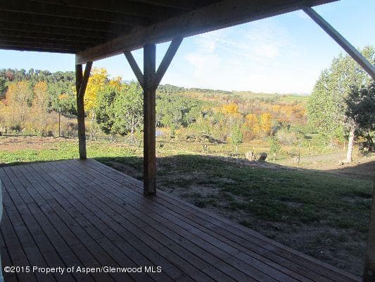 14843 59 1/2 Road, Collbran, CO 81624 - Photo 17