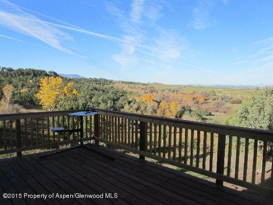 14843 59 1/2 Road, Collbran, CO 81624 - Photo 19