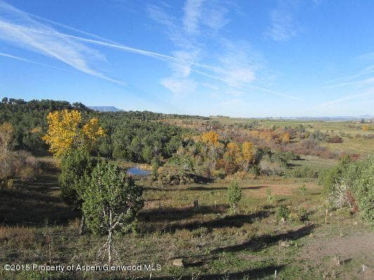 14843 59 1/2 Road, Collbran, CO 81624 - Photo 21
