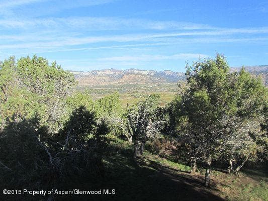 14843 59 1/2 Road, Collbran, CO 81624 - Photo 22