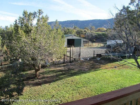 14843 59 1/2 Road, Collbran, CO 81624 - Photo 23