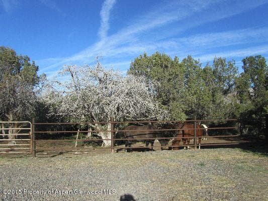 14843 59 1/2 Road, Collbran, CO 81624 - Photo 28