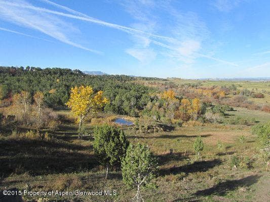 14843 59 1/2 Road, Collbran, CO 81624 - Photo 29