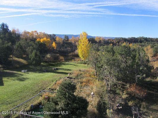 14843 59 1/2 Road, Collbran, CO 81624 - Photo 30