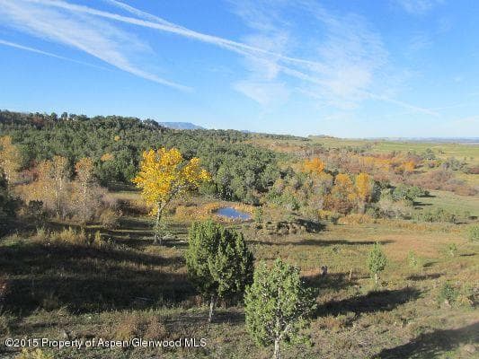 14843 59 1/2 Road, Collbran, CO 81624 - Photo 32
