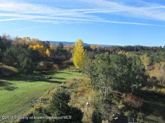 14843 59 1/2 Road, Collbran, CO 81624 - Photo 33